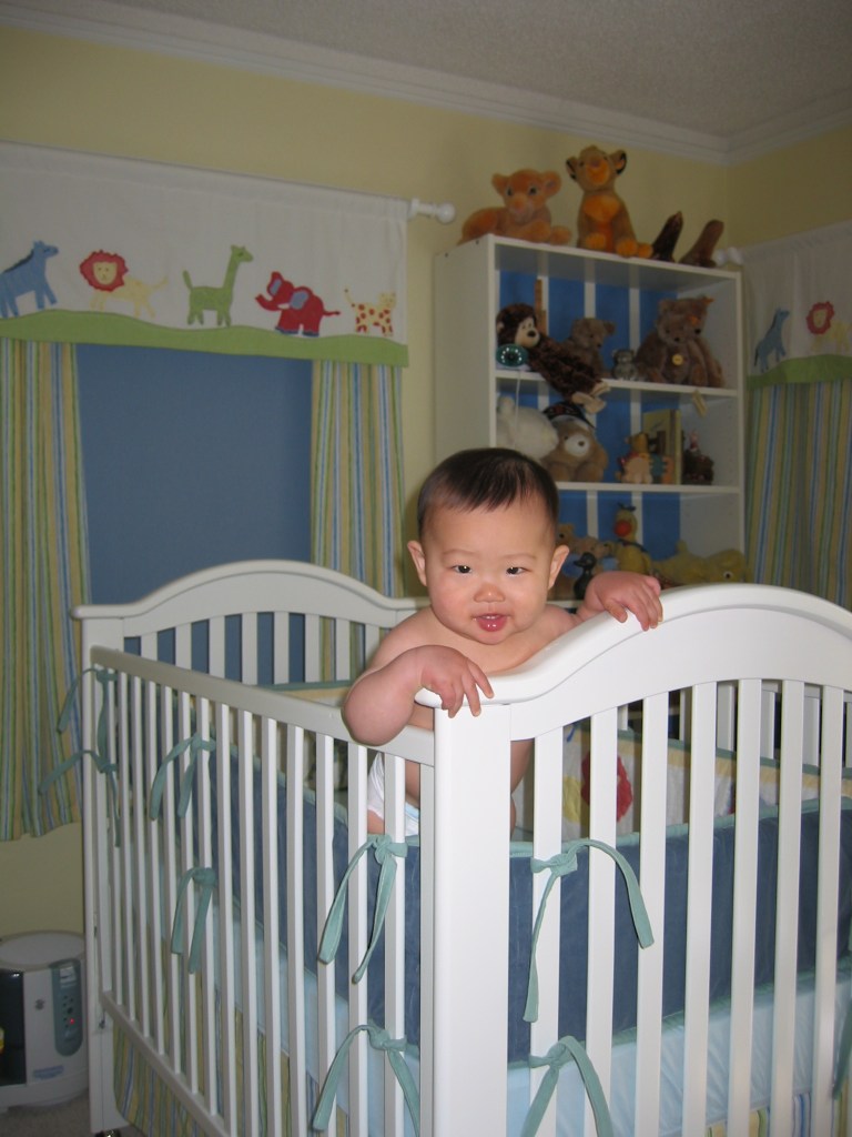Blue and white painted bookcase