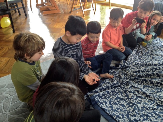 Insect Discovery Lab put on a fun show for the kids!