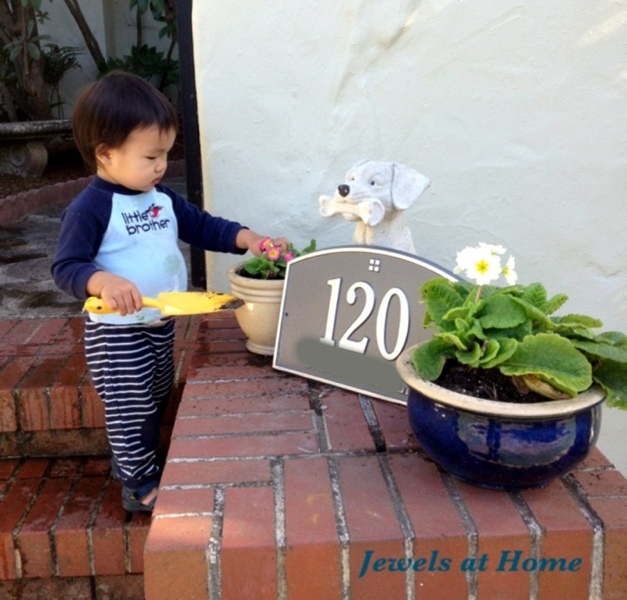 20120730-230807.jpgA new house color and some flowers at the front door make this place feel like home.