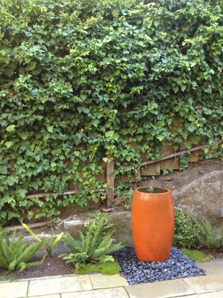 Lush urban patio.  Spotted by Jewels at Home.