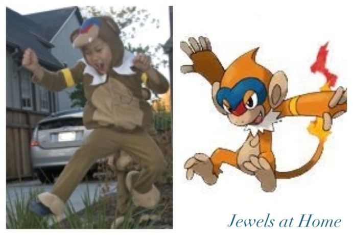 Monferno Pokemon costume.  From Jewels at Home.