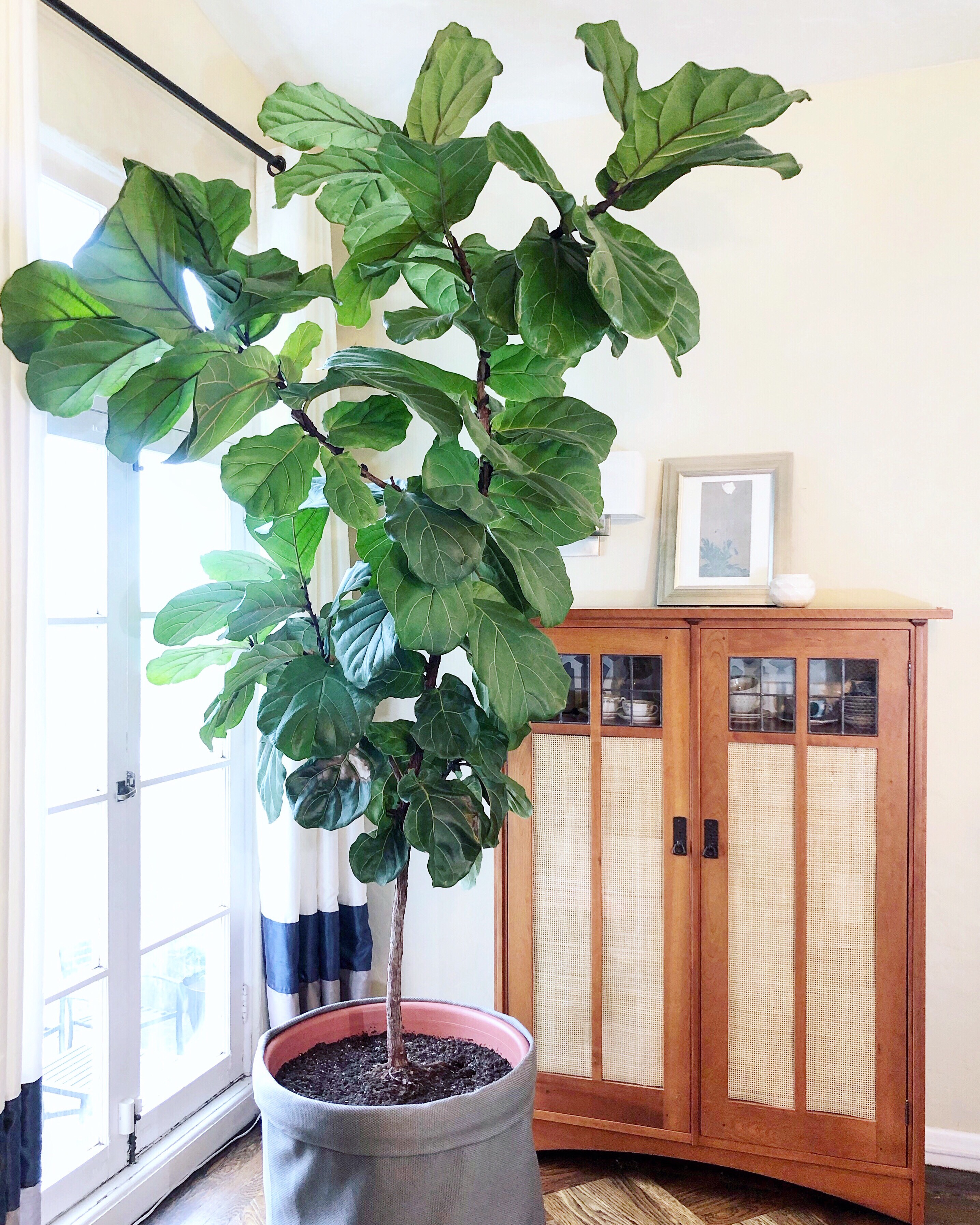 c8851ea1-1fd1-466f-9bad-e4aa0349a720