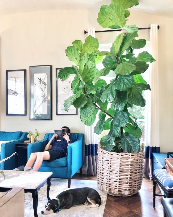 986315e0-e53a-4fe9-b5c3-cbbe9cc5f597